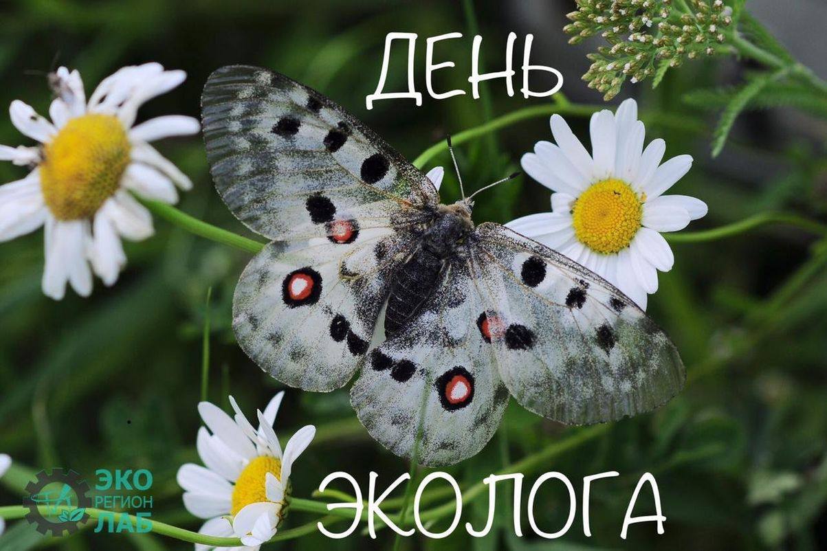 День эколога