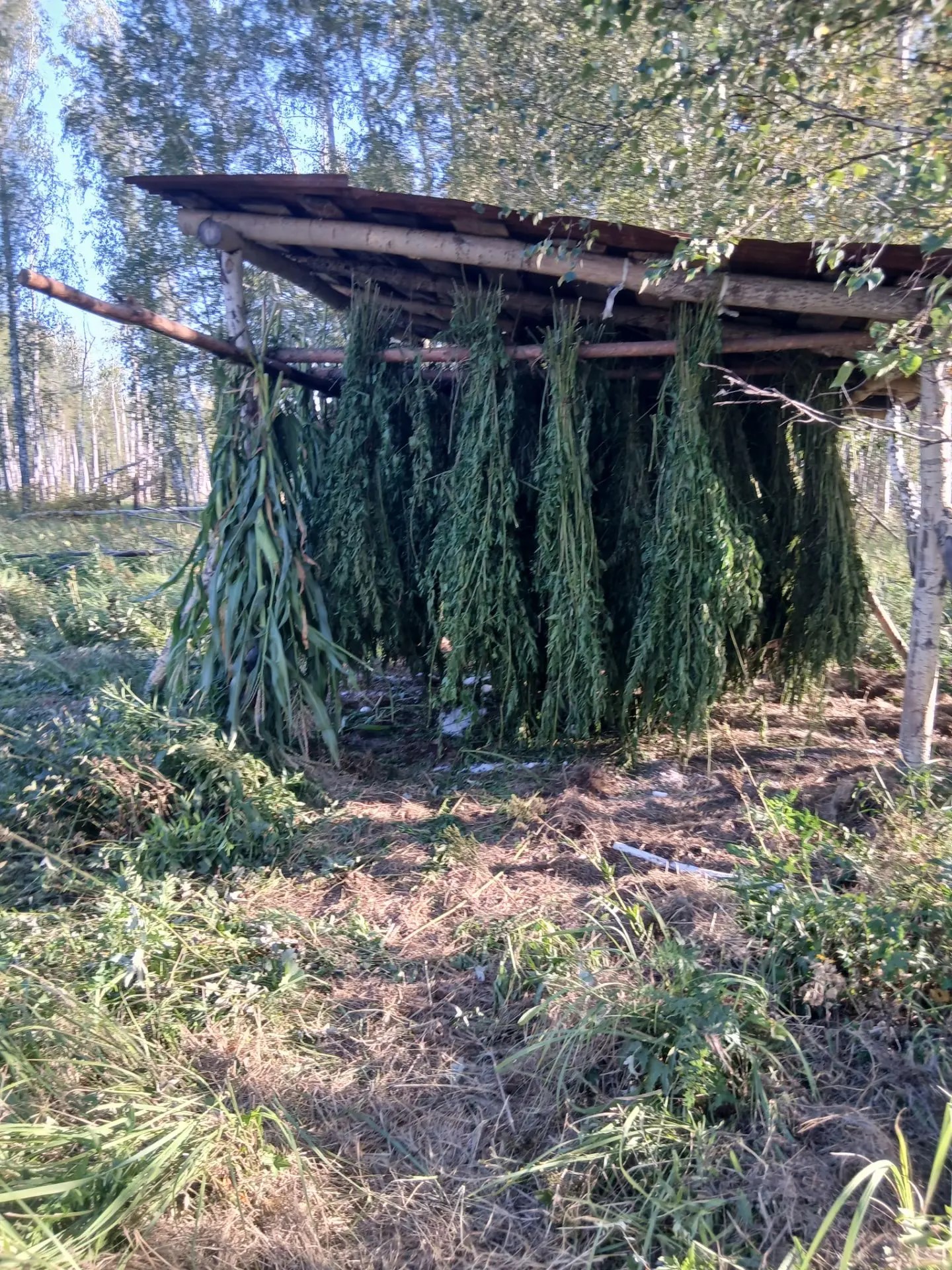 Проведение биотехнических мероприятий в заказниках