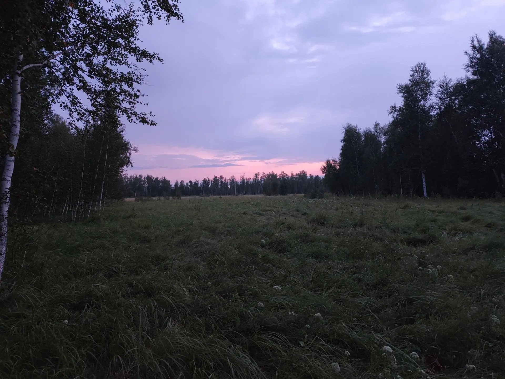 Зачем нужны рейды охотничьих инспекторов в приграничье?