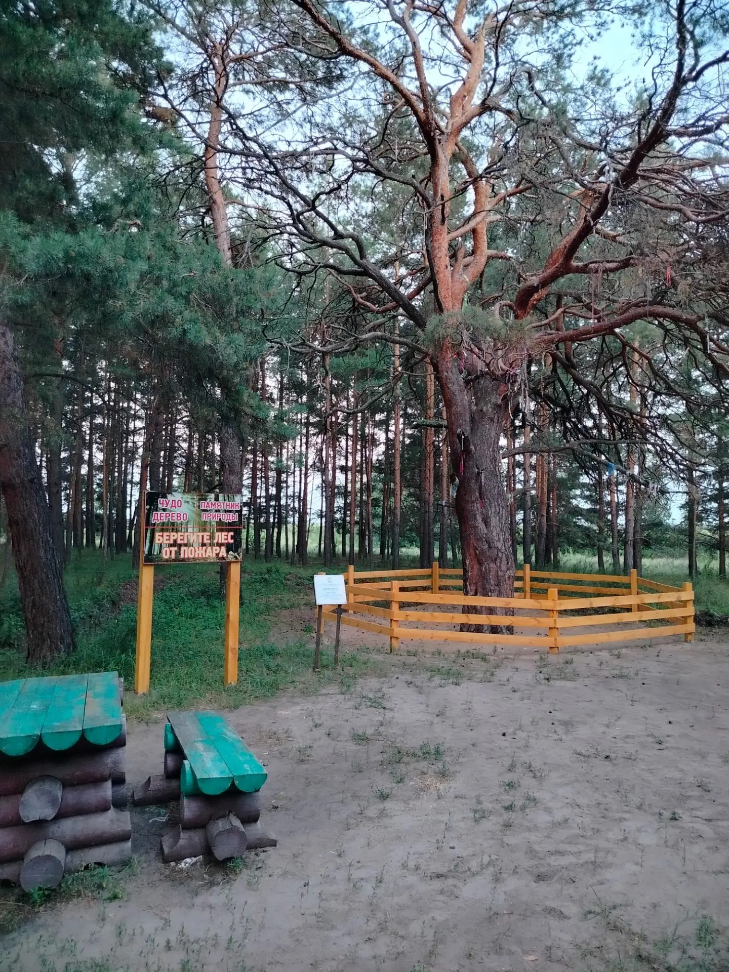 Продолжается летний сезон благоустройства памятников природы регионального значения