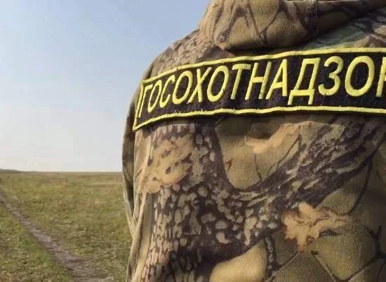 В ходе надзорных мероприятий, проведенных Управлением совместно с Прокуратурой Курганской области, на территории одного из закрепленных охотничьих угодий установлено несанкционированное захоронение биологических останков диких животных