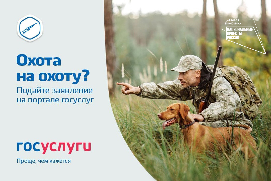 Получение разрешения на добычу охотничьих ресурсов в электронном формате