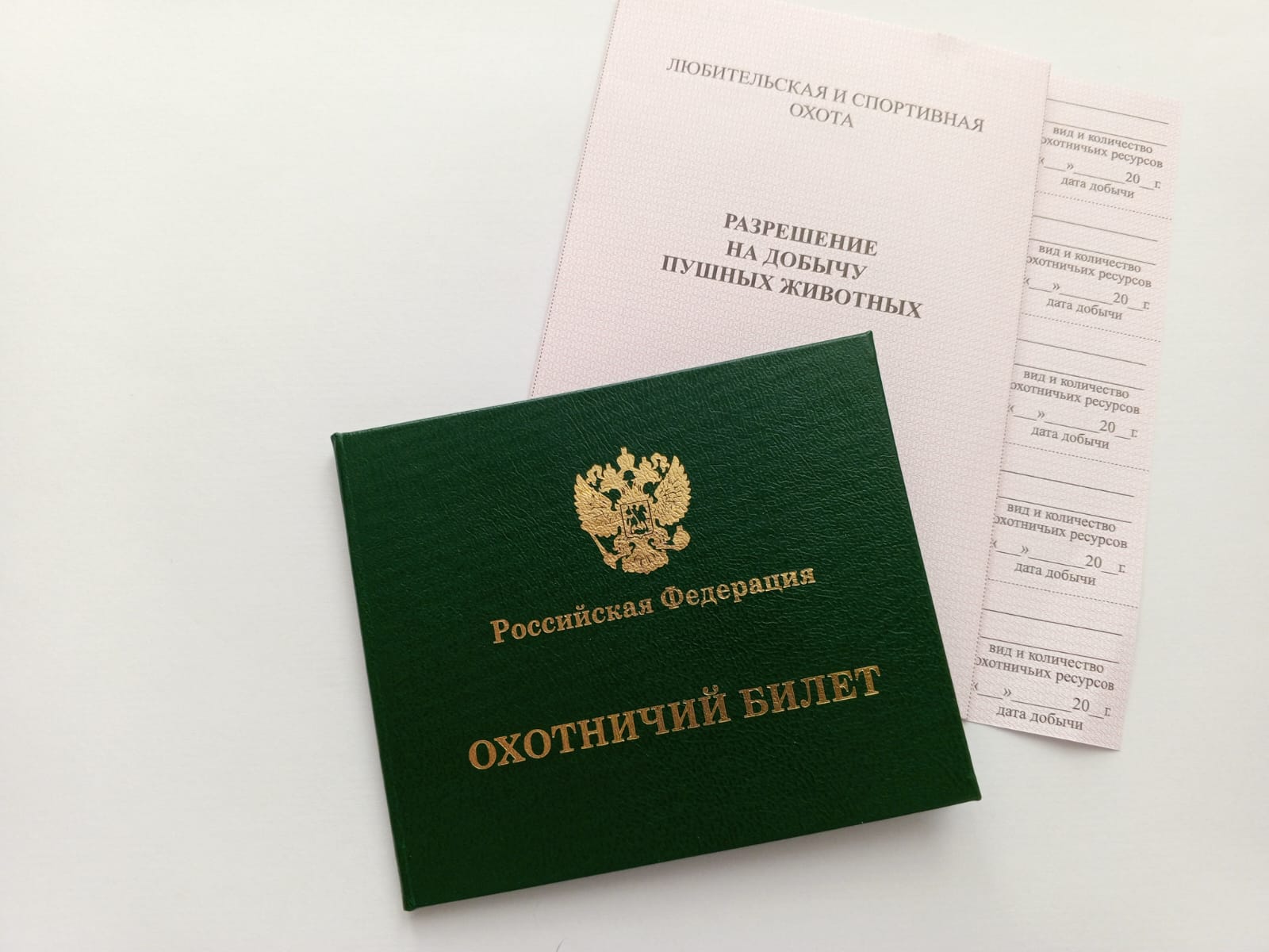 Открылся сезон осенне-зимней охоты 